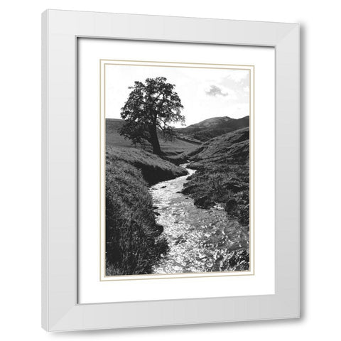 Stream Forward White Modern Wood Framed Art Print with Double Matting by Koetsier, Albert