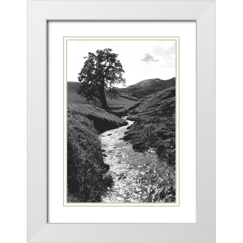 Stream Forward White Modern Wood Framed Art Print with Double Matting by Koetsier, Albert