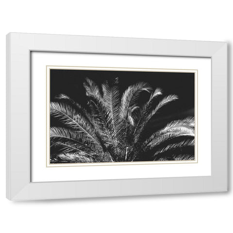 Tropical Night White Modern Wood Framed Art Print with Double Matting by Koetsier, Albert