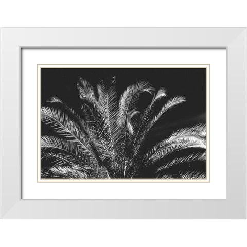 Tropical Night White Modern Wood Framed Art Print with Double Matting by Koetsier, Albert