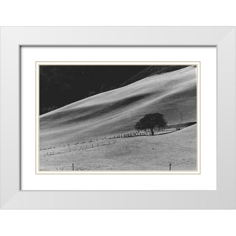 Calming Slope White Modern Wood Framed Art Print with Double Matting by Koetsier, Albert