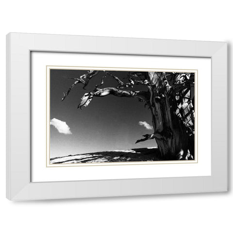 Curved World White Modern Wood Framed Art Print with Double Matting by Koetsier, Albert