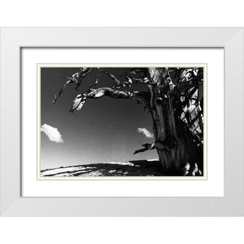 Curved World White Modern Wood Framed Art Print with Double Matting by Koetsier, Albert