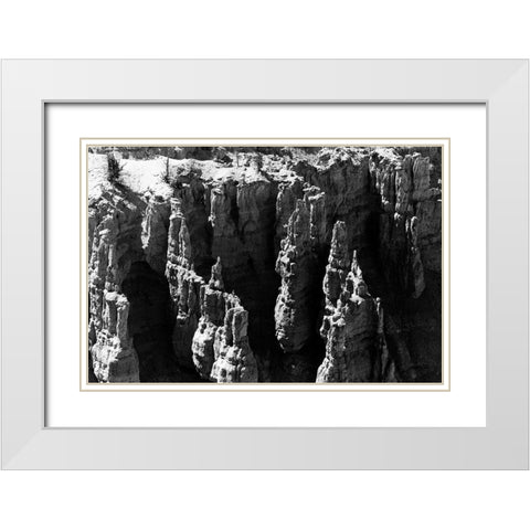 Jagged Forest White Modern Wood Framed Art Print with Double Matting by Koetsier, Albert