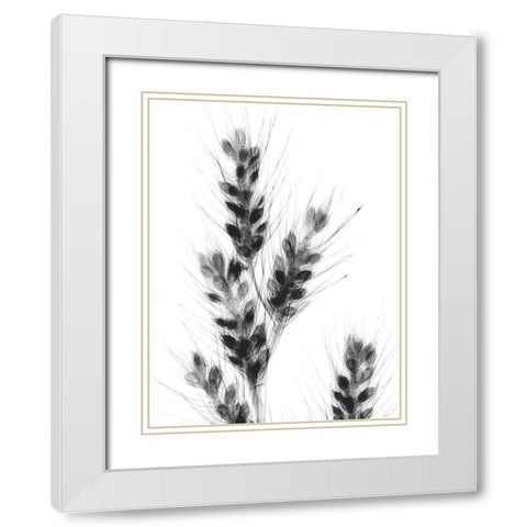 Bunches Of Oats White Modern Wood Framed Art Print with Double Matting by Koetsier, Albert