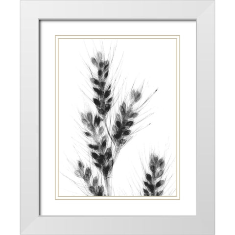 Bunches Of Oats White Modern Wood Framed Art Print with Double Matting by Koetsier, Albert