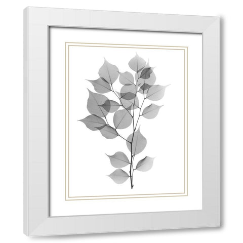 Myrtle Tree L182 White Modern Wood Framed Art Print with Double Matting by Koetsier, Albert