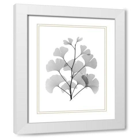 Ginko White Modern Wood Framed Art Print with Double Matting by Koetsier, Albert