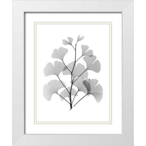 Ginko White Modern Wood Framed Art Print with Double Matting by Koetsier, Albert