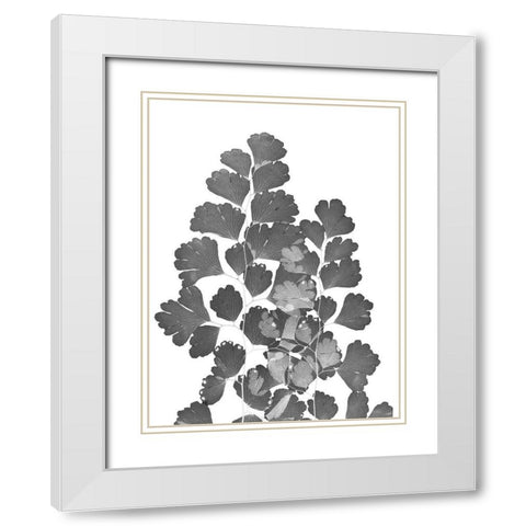 Southern Maidenhair Fern White Modern Wood Framed Art Print with Double Matting by Koetsier, Albert