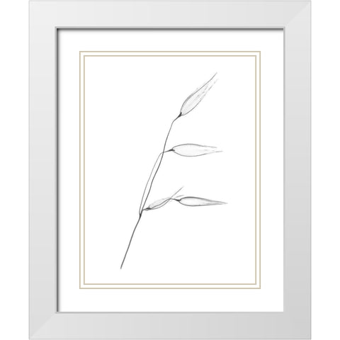 Wheat White Modern Wood Framed Art Print with Double Matting by Koetsier, Albert