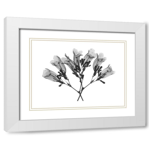 Amethyst Vine White Modern Wood Framed Art Print with Double Matting by Koetsier, Albert