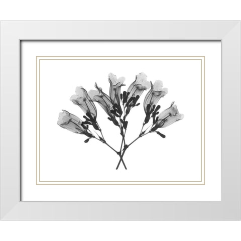 Amethyst Vine White Modern Wood Framed Art Print with Double Matting by Koetsier, Albert