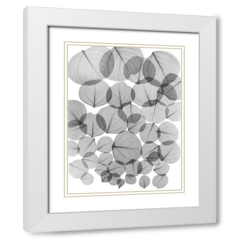 Baybean Leaves White Modern Wood Framed Art Print with Double Matting by Koetsier, Albert