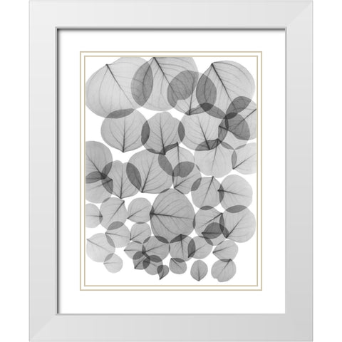 Baybean Leaves White Modern Wood Framed Art Print with Double Matting by Koetsier, Albert