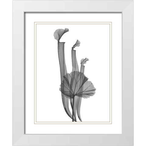 Marching Floral White Modern Wood Framed Art Print with Double Matting by Koetsier, Albert