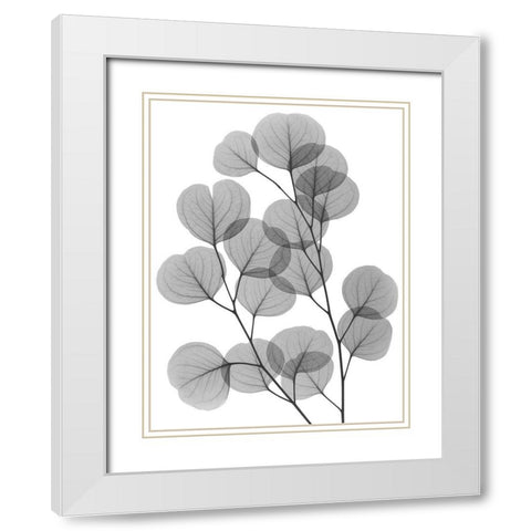 Eucalyptus Bunch White Modern Wood Framed Art Print with Double Matting by Koetsier, Albert