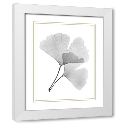 Ginko Pair White Modern Wood Framed Art Print with Double Matting by Koetsier, Albert