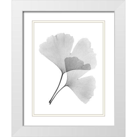 Ginko Pair White Modern Wood Framed Art Print with Double Matting by Koetsier, Albert