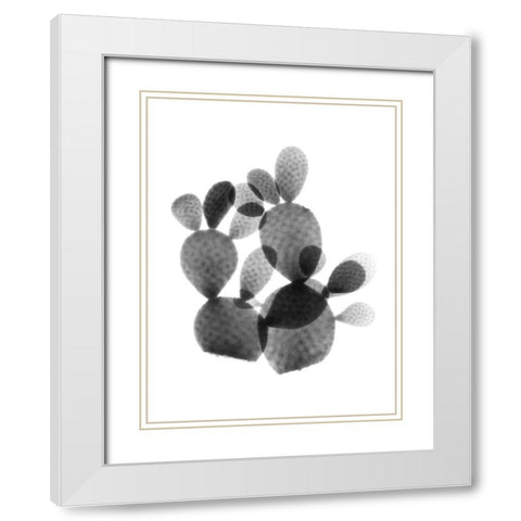 Cactus Bunch White Modern Wood Framed Art Print with Double Matting by Koetsier, Albert