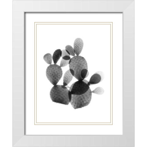 Cactus Bunch White Modern Wood Framed Art Print with Double Matting by Koetsier, Albert