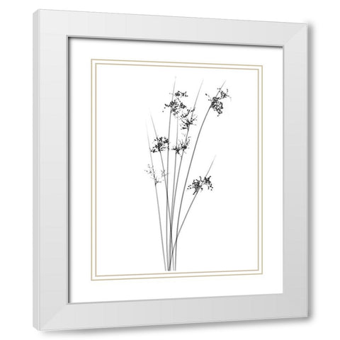 Sky Reachers White Modern Wood Framed Art Print with Double Matting by Koetsier, Albert