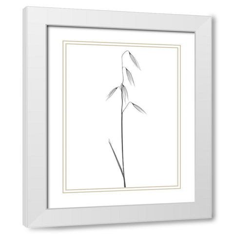 Low Hanging Thoughts White Modern Wood Framed Art Print with Double Matting by Koetsier, Albert