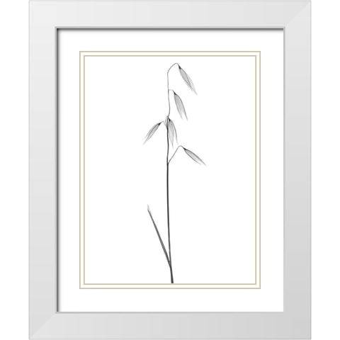 Low Hanging Thoughts White Modern Wood Framed Art Print with Double Matting by Koetsier, Albert