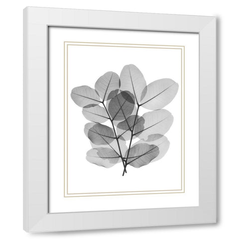 Leafy Bunch White Modern Wood Framed Art Print with Double Matting by Koetsier, Albert