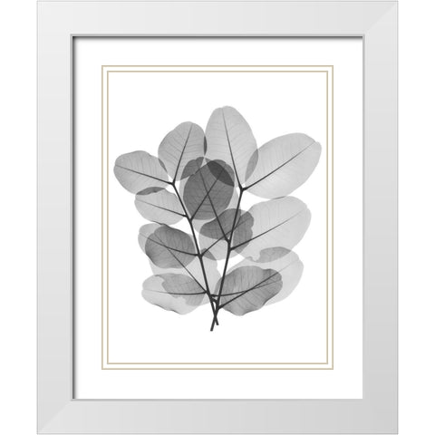 Leafy Bunch White Modern Wood Framed Art Print with Double Matting by Koetsier, Albert