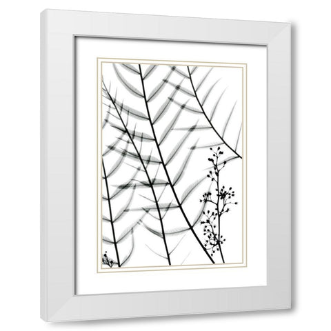 California Pepper Tree White Modern Wood Framed Art Print with Double Matting by Koetsier, Albert