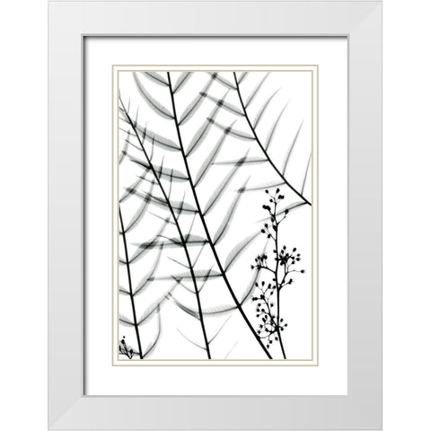 California Pepper Tree White Modern Wood Framed Art Print with Double Matting by Koetsier, Albert