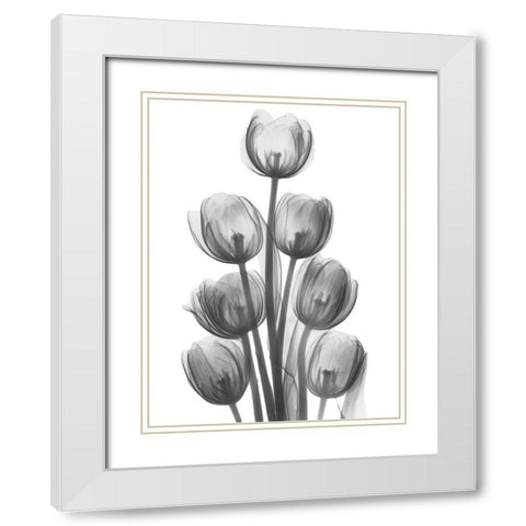 Tulips H26 White Modern Wood Framed Art Print with Double Matting by Koetsier, Albert