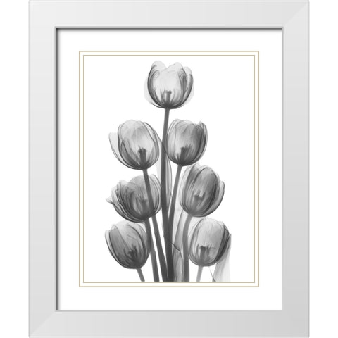 Tulips H26 White Modern Wood Framed Art Print with Double Matting by Koetsier, Albert