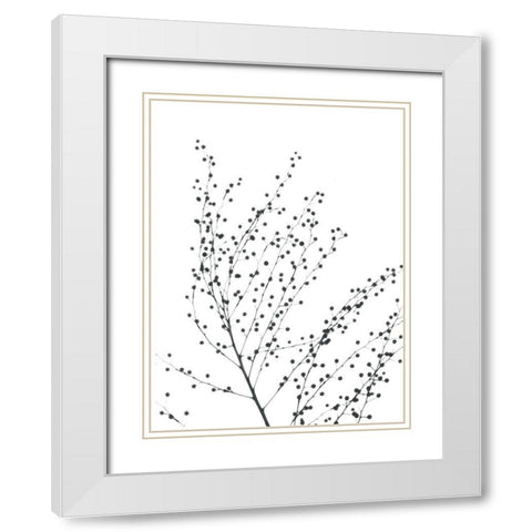 Pretty And Delicate White Modern Wood Framed Art Print with Double Matting by Koetsier, Albert