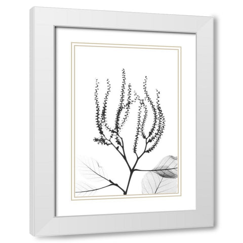 Reaching Branches White Modern Wood Framed Art Print with Double Matting by Koetsier, Albert