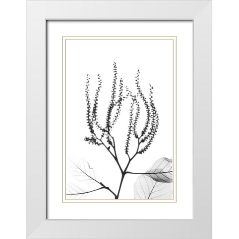 Reaching Branches White Modern Wood Framed Art Print with Double Matting by Koetsier, Albert