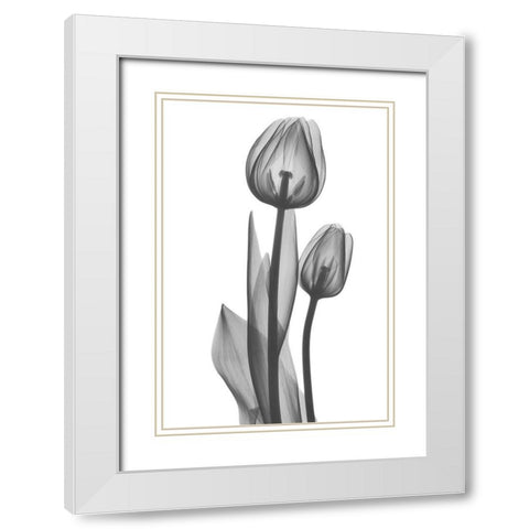 Coupled Friends White Modern Wood Framed Art Print with Double Matting by Koetsier, Albert