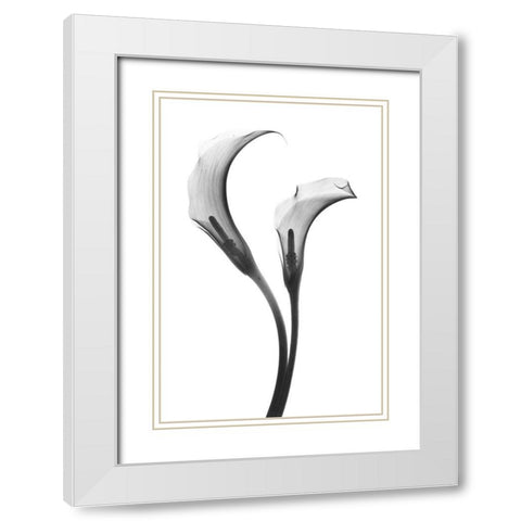 Growing Apart White Modern Wood Framed Art Print with Double Matting by Koetsier, Albert