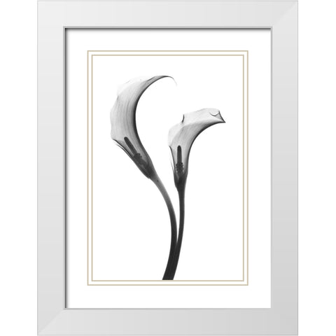 Growing Apart White Modern Wood Framed Art Print with Double Matting by Koetsier, Albert