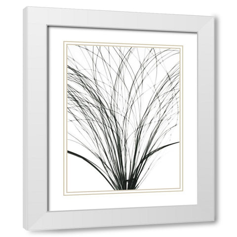 Frayed Soul White Modern Wood Framed Art Print with Double Matting by Koetsier, Albert