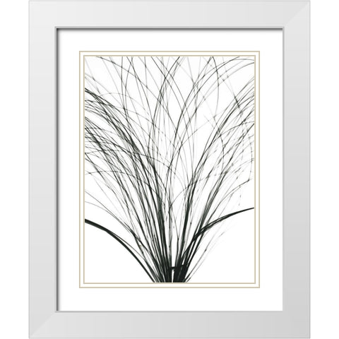 Frayed Soul White Modern Wood Framed Art Print with Double Matting by Koetsier, Albert