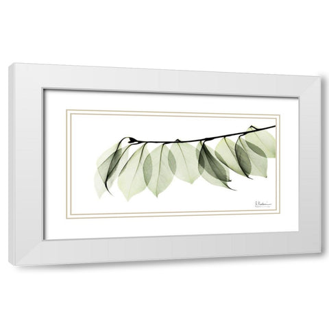 Camelia Leaf In White White Modern Wood Framed Art Print with Double Matting by Koetsier, Albert