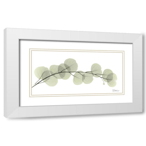 Eucalyptus L196 White Modern Wood Framed Art Print with Double Matting by Koetsier, Albert