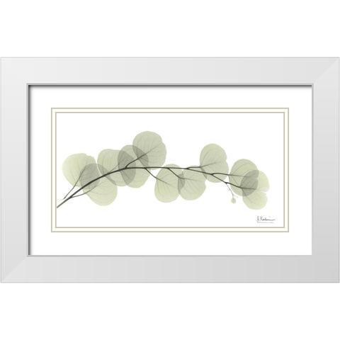 Eucalyptus L196 White Modern Wood Framed Art Print with Double Matting by Koetsier, Albert