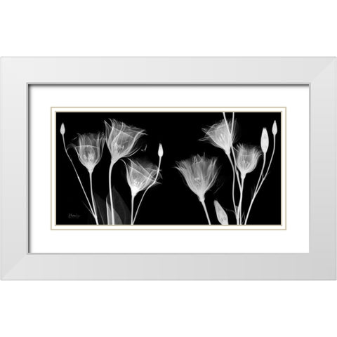 BW Gentian White Modern Wood Framed Art Print with Double Matting by Koetsier, Albert