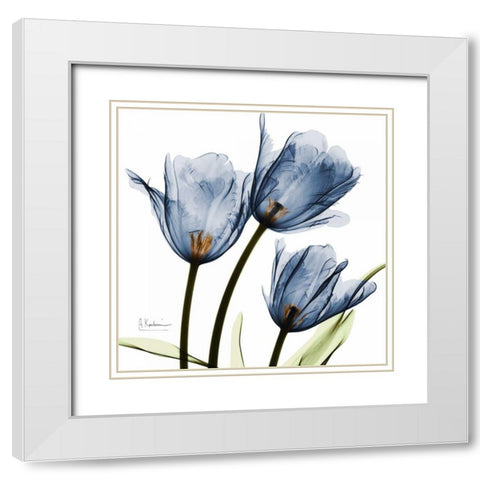 New Blue Tulips C54 White Modern Wood Framed Art Print with Double Matting by Koetsier, Albert