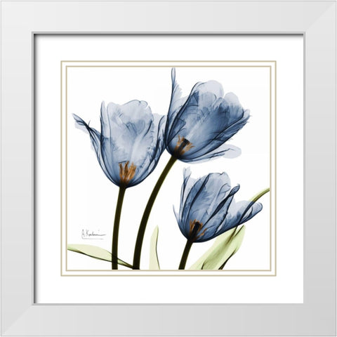 New Blue Tulips C54 White Modern Wood Framed Art Print with Double Matting by Koetsier, Albert