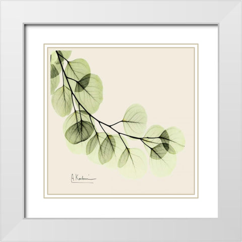 Eucalyptus White Modern Wood Framed Art Print with Double Matting by Koetsier, Albert