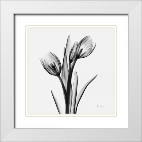 Tulips White Modern Wood Framed Art Print with Double Matting by Koetsier, Albert